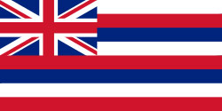 Flag of Hawaii, USA